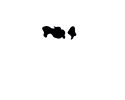 logo_bianco_roberti